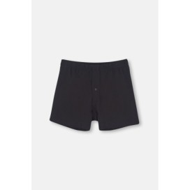 D1220 Boxer Peigne 2