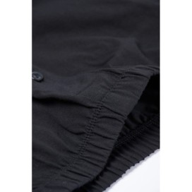 D1220 Boxer Peigne 2