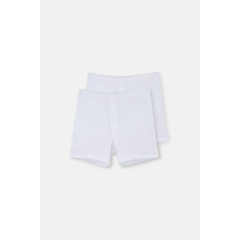 D1220 Boxer Peigne 2