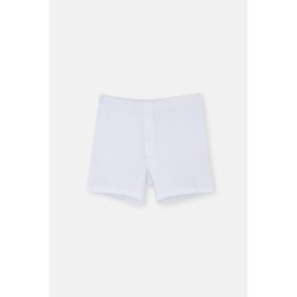 D1220 Boxer Peigne 2