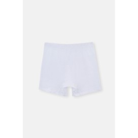 D1220 Boxer Peigne 2