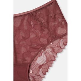 Culotte Taille Haute En