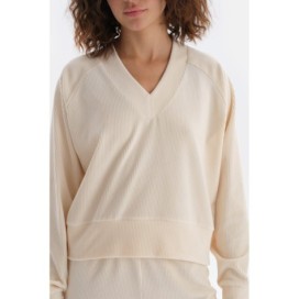 Sweat-Shirt En Velours a Manches Raglan Et Col