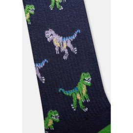 Chaussettes a Motifs