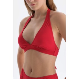 Haut De Bikini Large